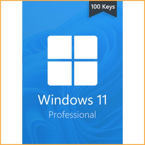 Windows 11 Pro -100 keys 